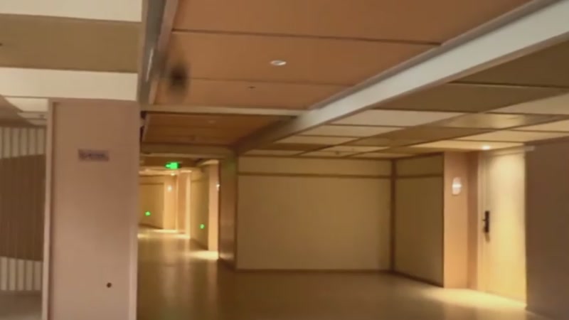 谁能教我JJ捕鱼租号商人